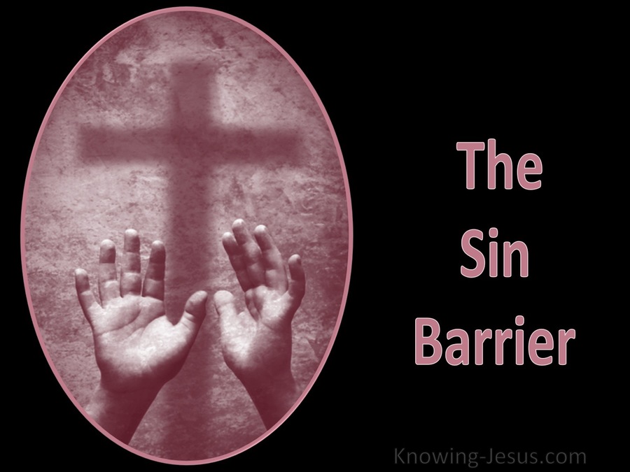 The Sin Barrier (devotional)04-17 (pink)